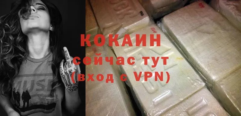 hydra ссылка  дарнет шоп  Краснознаменск  COCAIN Колумбийский 